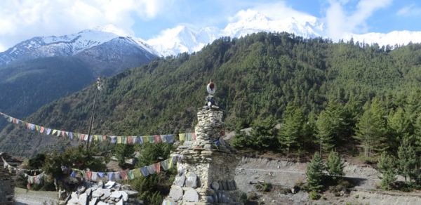 Global Link Tours & Travel