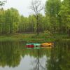 Betana Wetland Area